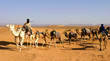 Photo: caravane de dromadaires dans le désert caravane de dromadaires dans le désert