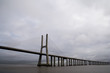 the bridge