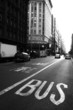 bus line