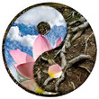 yin-yang 5 yin-yang 5