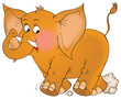 elephant