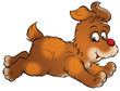 puppy