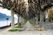 chemin