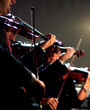 violins
