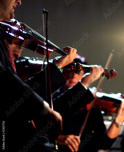 violins