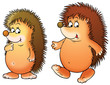 hedgehog