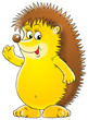 hedgehog