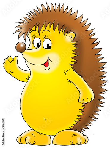 hedgehog
