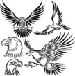 abstract eagle