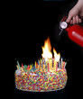 Foto: birthday disaster birthday disaster