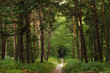 foret