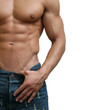 muscular male torso