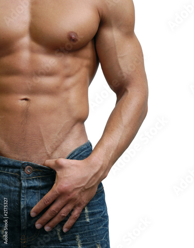 Photo: muscular male torso muscular male torso