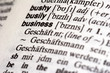 business in dictionary
