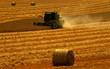 combined harvester