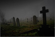foggy graveyard