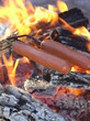 two hot dogs being roasted two hot dogs being roasted