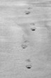 footprint