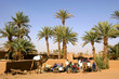 Photo: oasis dans le désert oasis dans le désert