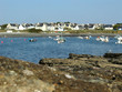 morbihan, île de groix : port de locmaria morbihan, île de groix : port de locmaria