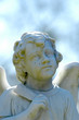 child angel