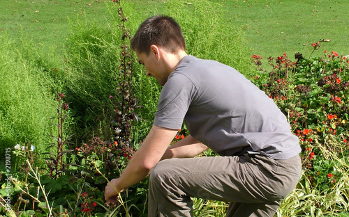 young man gardening