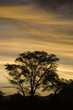 paysage de namibie paysage de namibie