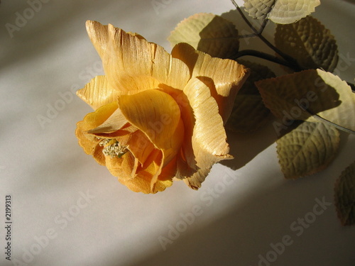 Photo: wooden rose wooden rose