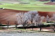 invierno en la alcarria invierno en la alcarria