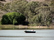 fishing on lake