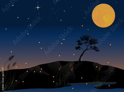 Illustration: fireflies fireflies