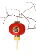 chinese lantern