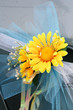  flowers  5661