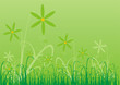 green floral background