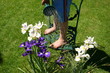 young gardener