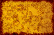 grunge seeds