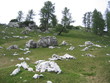 lichtung am sleme