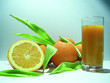 orangen shot