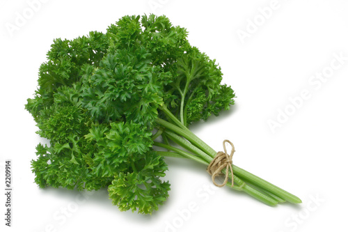 parsley parsley
