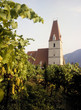 weinernsteweißenkirchenwachau