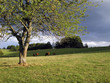 cantal : orage naissant