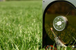 hard disk drive in green grass