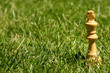 king chess piece in green grass king chess piece in green grass