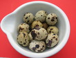 easter eggs