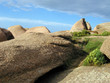 bretagne, côtes d'armor : ploumanach bretagne, côtes d'armor : ploumanach