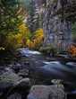 Photo: loganriver loganriver