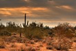 desert storm approaching 7
