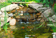 pond