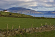 dingelbay