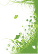floral background